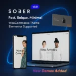 Sober v3.6.0 WordPress Theme