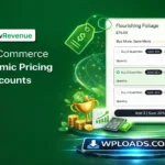 WooCommerce Dynamic Pricing and Discounts v9.4.1