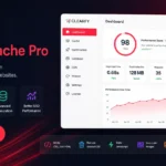 Clearfy Cache Pro plugin optimizacion WordPress